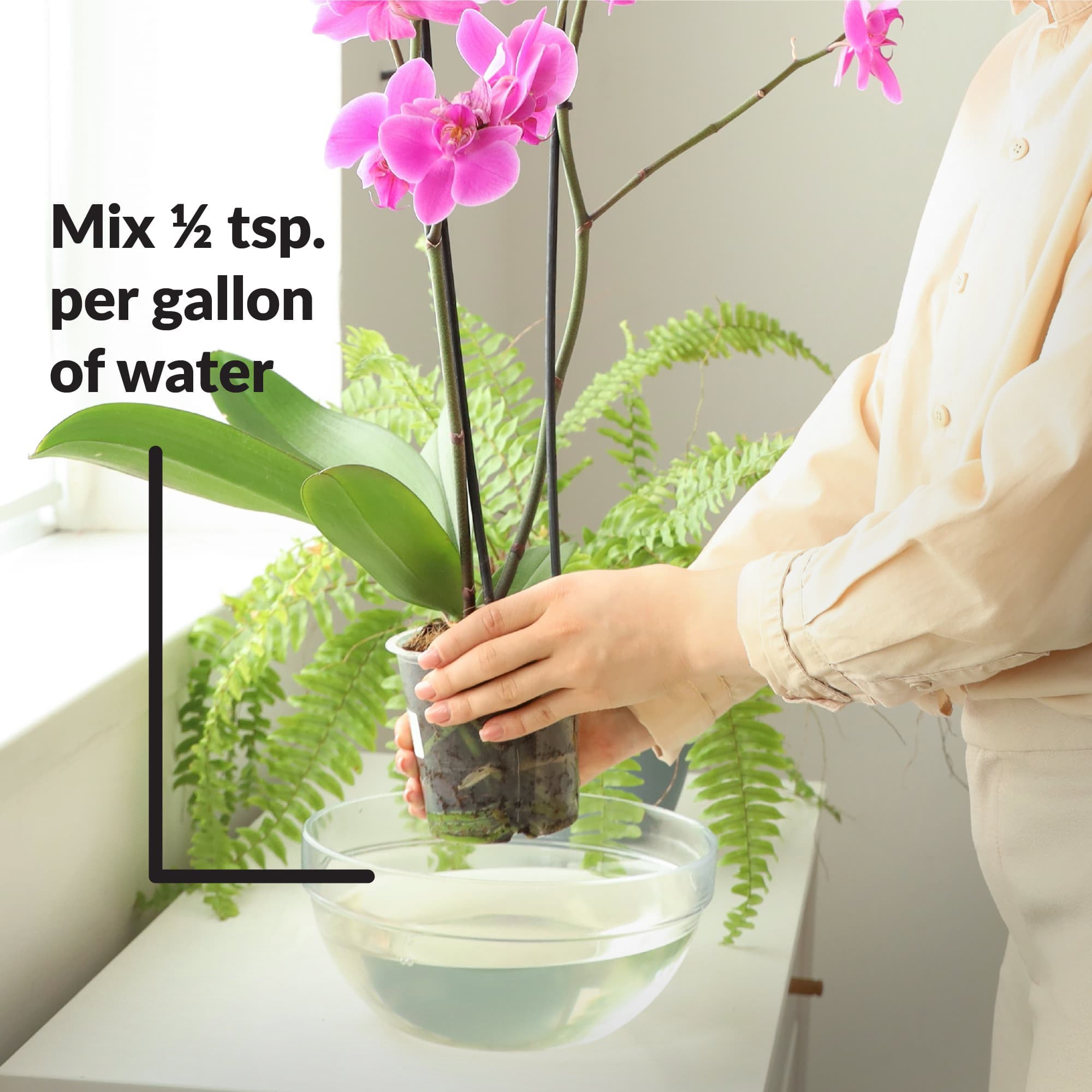 SUPERthrive Orchid-Pro 7-8-6 Plant Food